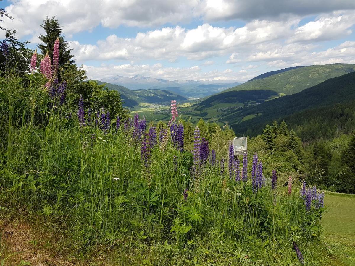 Residenz Monica Top 8 Sankt Margarethen im Lungau Dış mekan fotoğraf